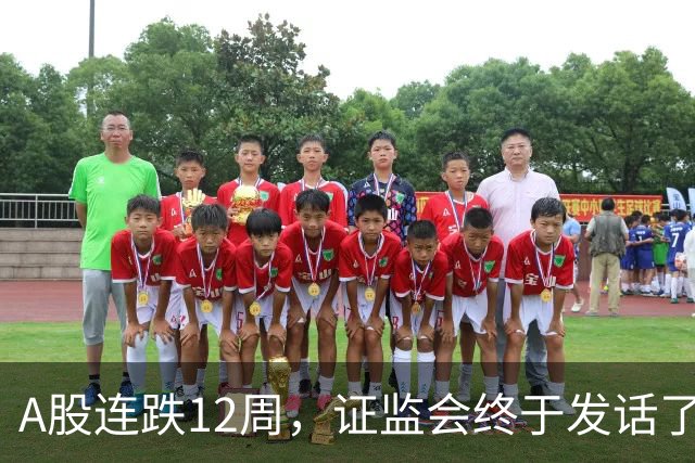 A股连跌12周，证监会终于发话了！